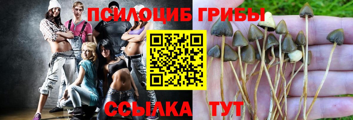 сколько стоит  Вход с VPN  Барабинск  Псилоцибиновые грибы MAGIC MUSHROOMS 